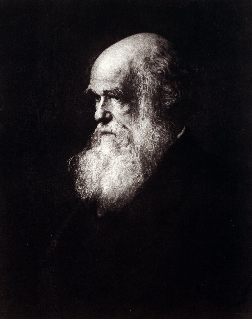 Portret van Charles Robert Darwin (1809 - 1882) door Unknown artist