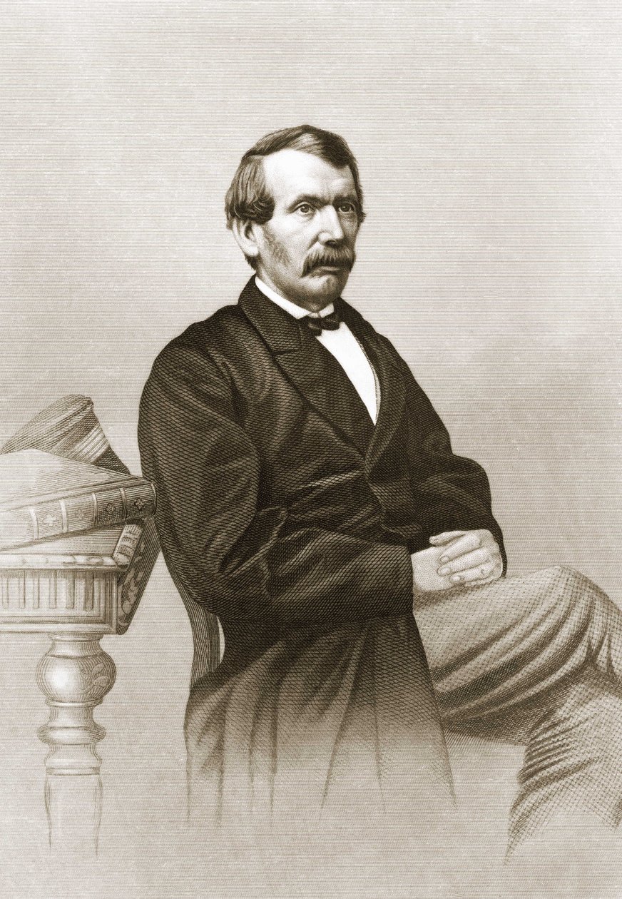 Portret van David Livingstone (1813 - 1873) door Unknown artist