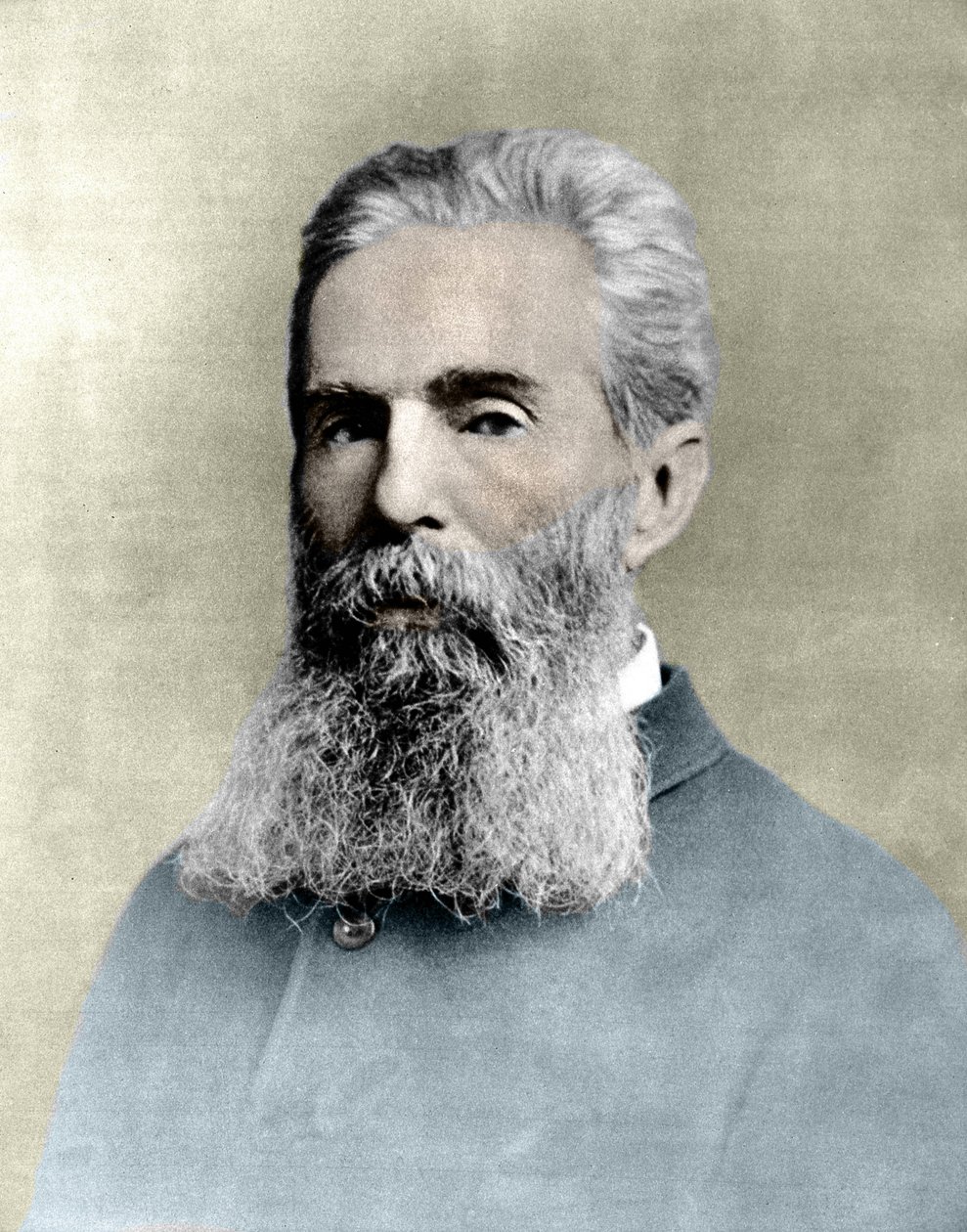Portret van Herman Melville (1819-1891) Amerikaanse romanschrijver. door Unknown artist