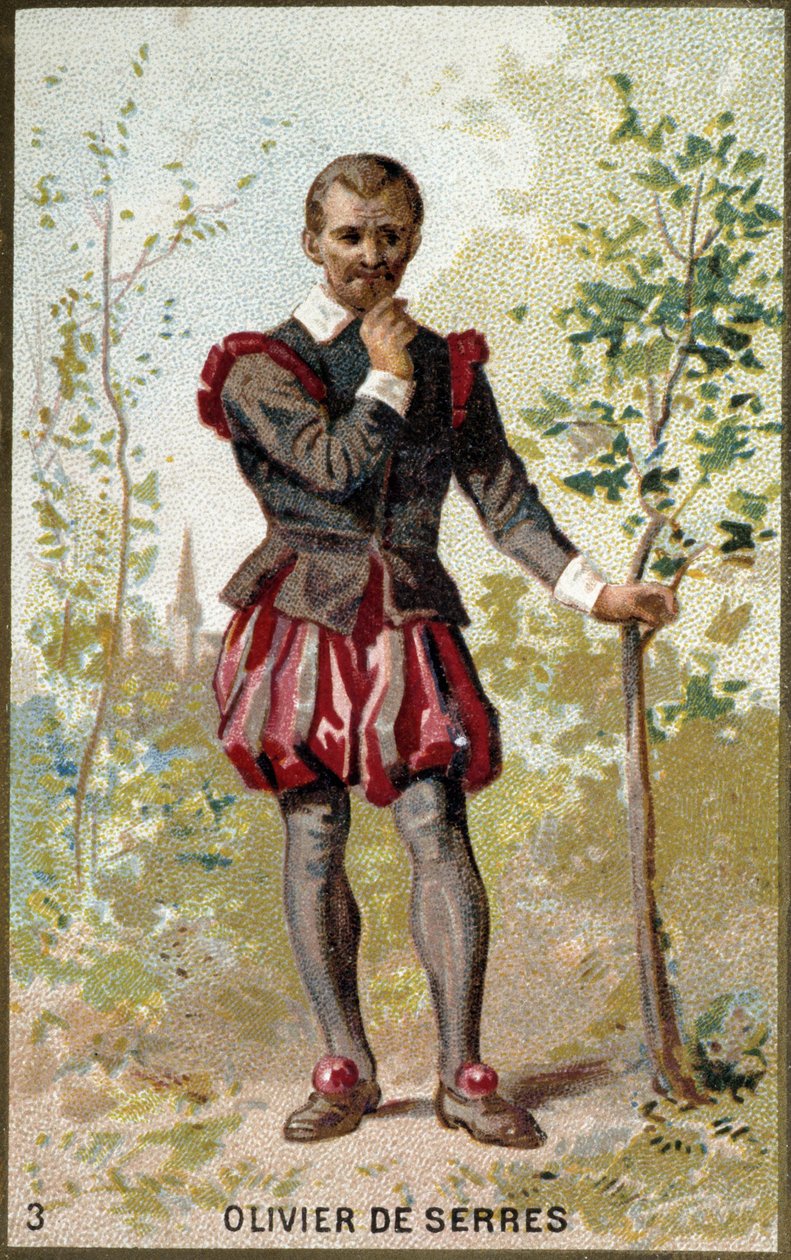 Portret van Olivier de Serres (1539 - 1619), Franse agronoom door Unknown artist