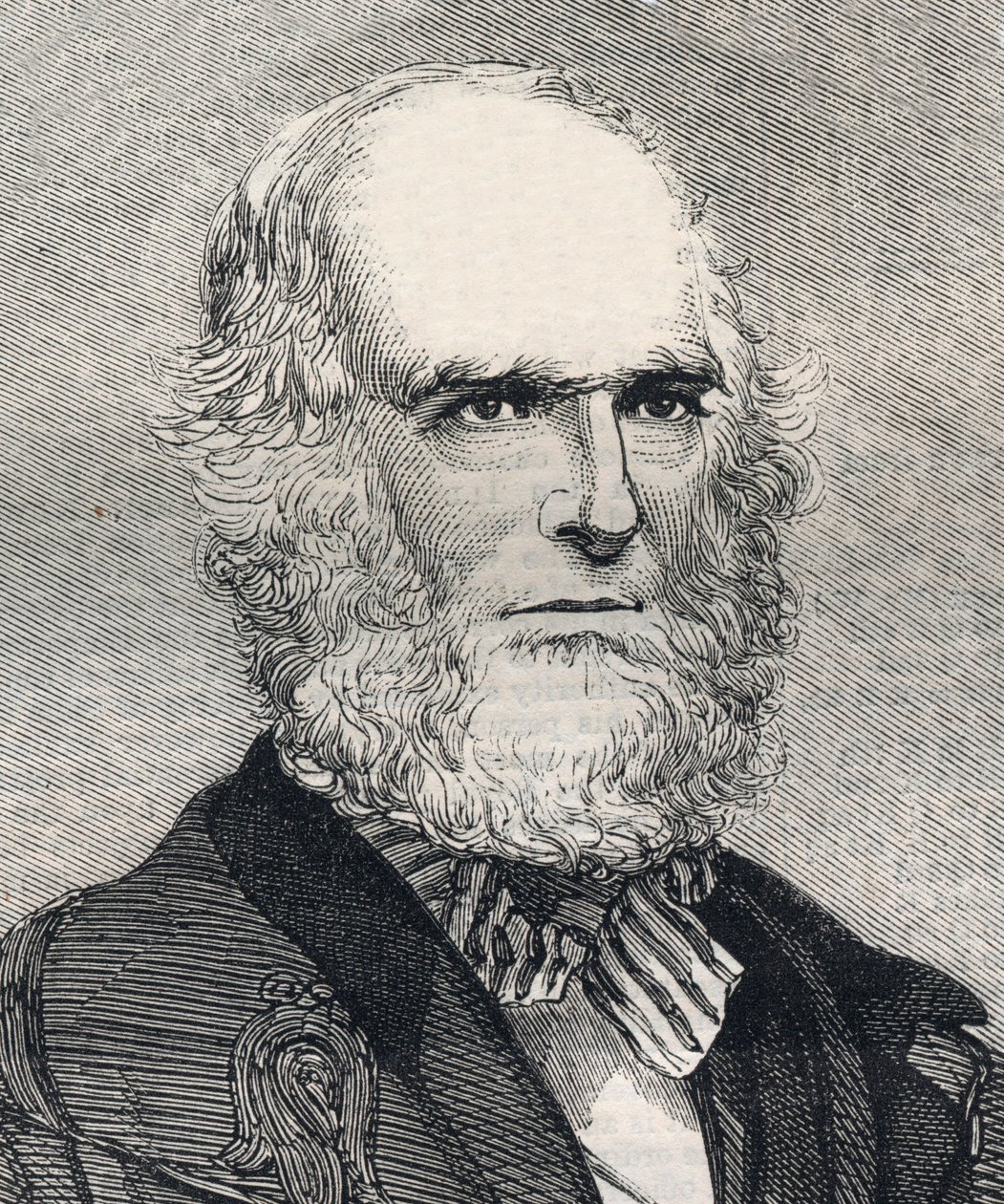 Portret van William Cullen Bryant (1794-1878), Amerikaanse dichter. Gravure in 