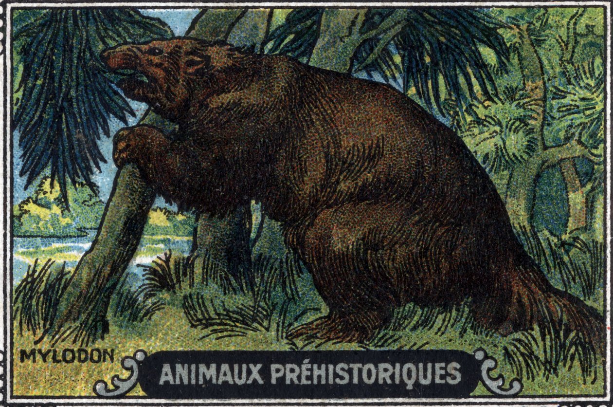 Prehistorisch dier: een mylodon. door Unknown Artist
