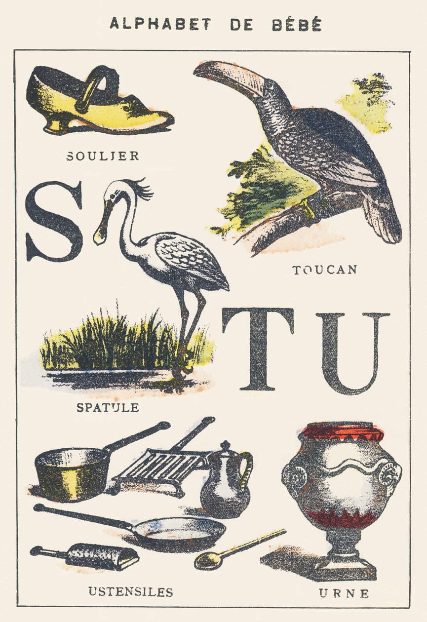 S T U: Schoen, Spatel, Toekan, Gereedschap, Urn door Unknown artist