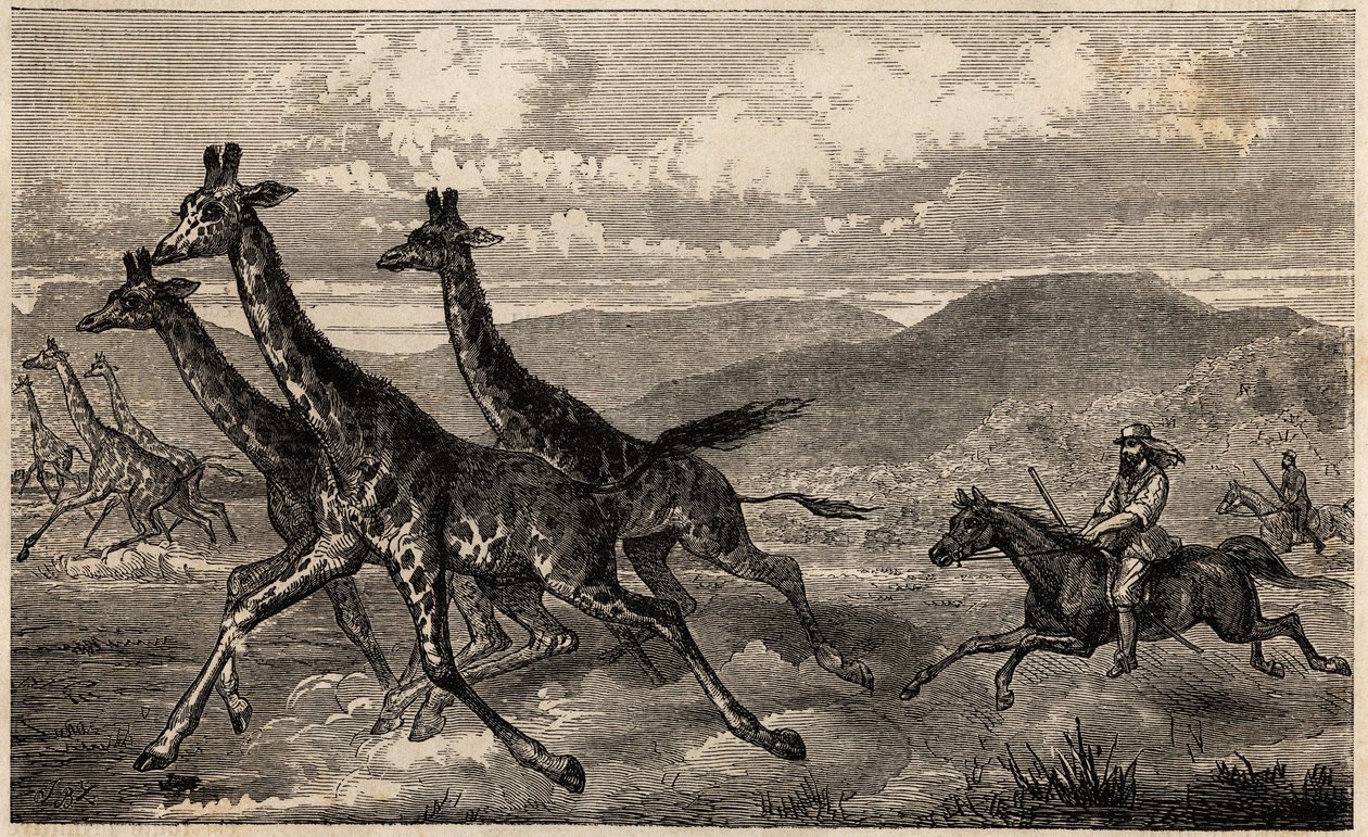 Samuel W. Baker op giraffenjacht in Centraal-Afrika in de regio van de Boven-Nijl door Unknown artist