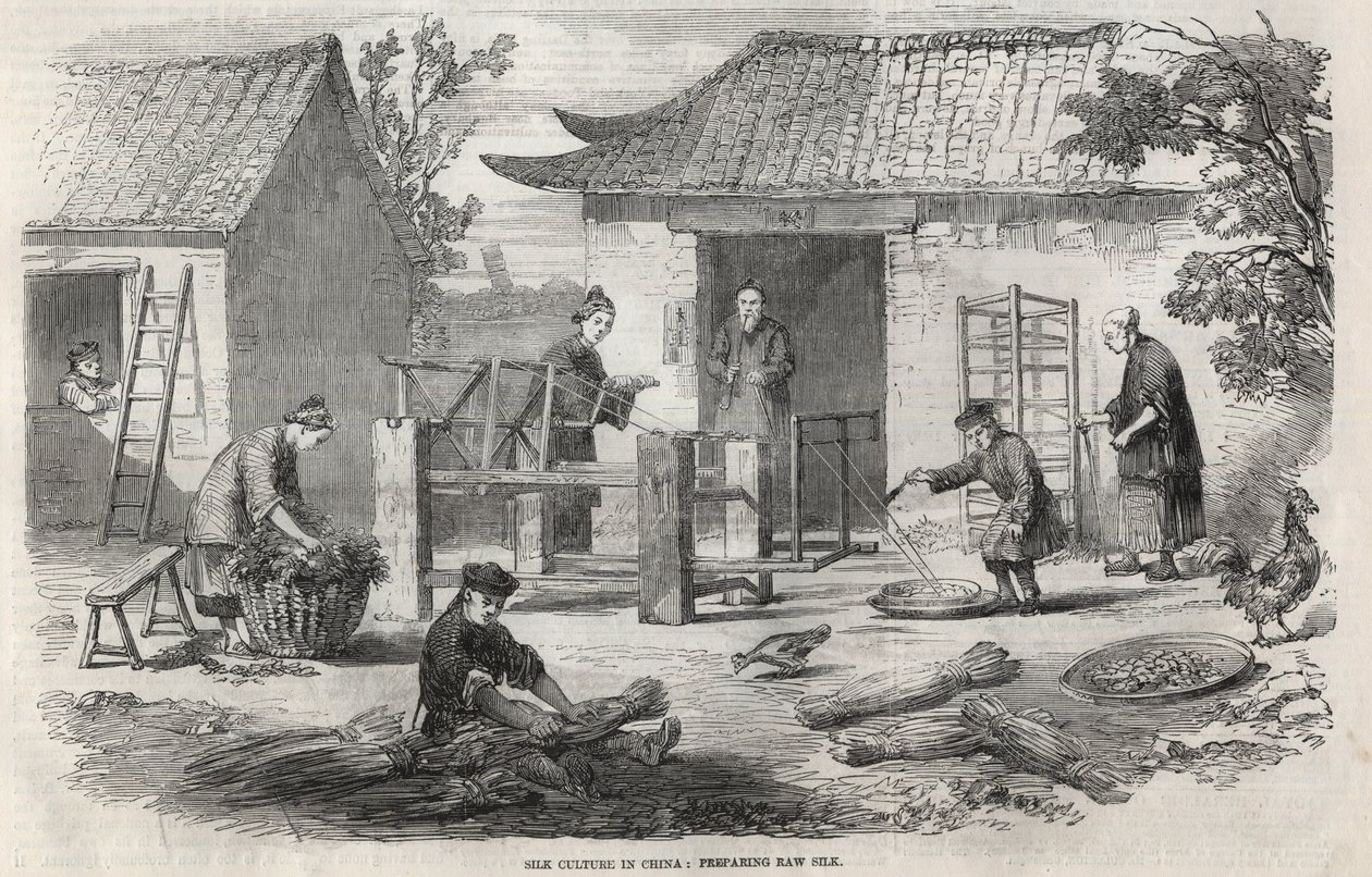 Zijdeproductie in China en de verschillende stadia van de fabricage door Unknown artist