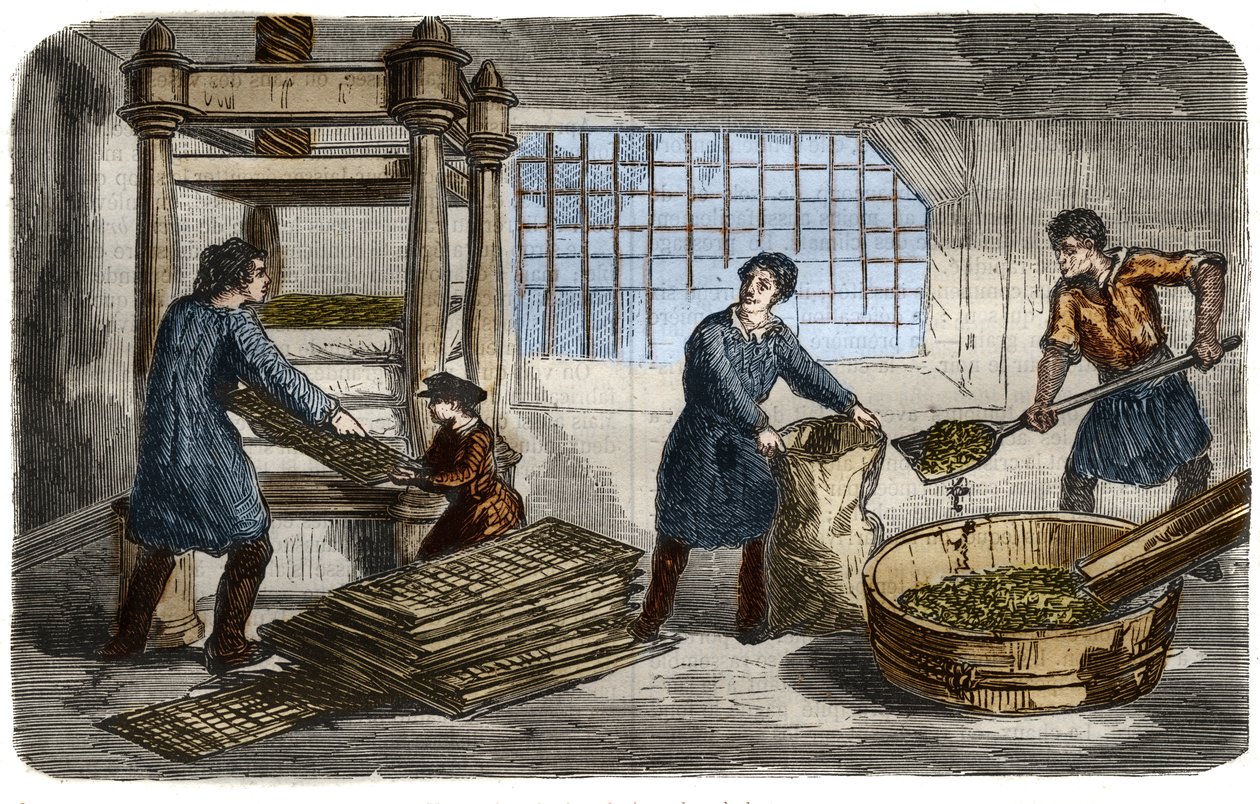 Suikerproductie: extractie van sap uit bietpulp. De pulp wordt in zakken gestopt die onder de bak van een hydraulische pers worden gestapeld. Gravure uit 1859 in 