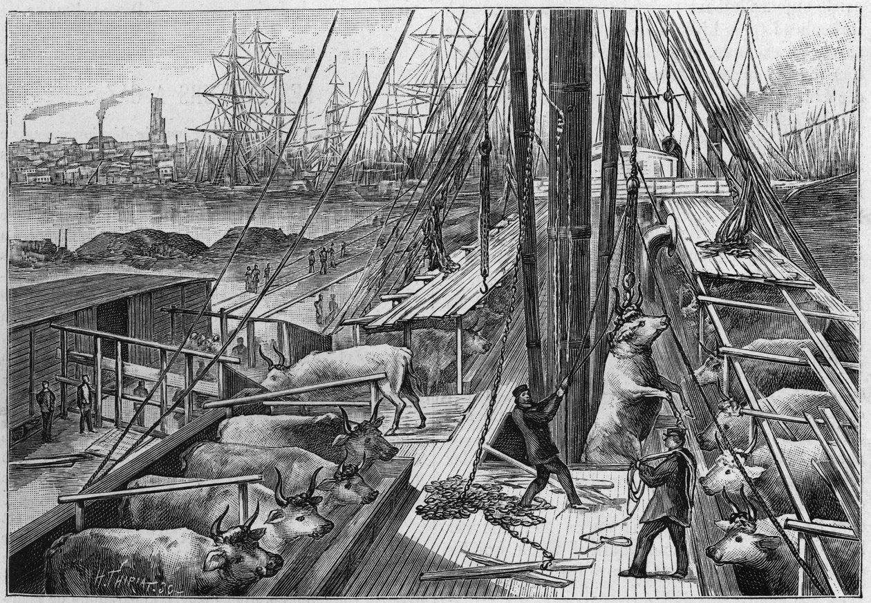 De Engelse stoomboot 