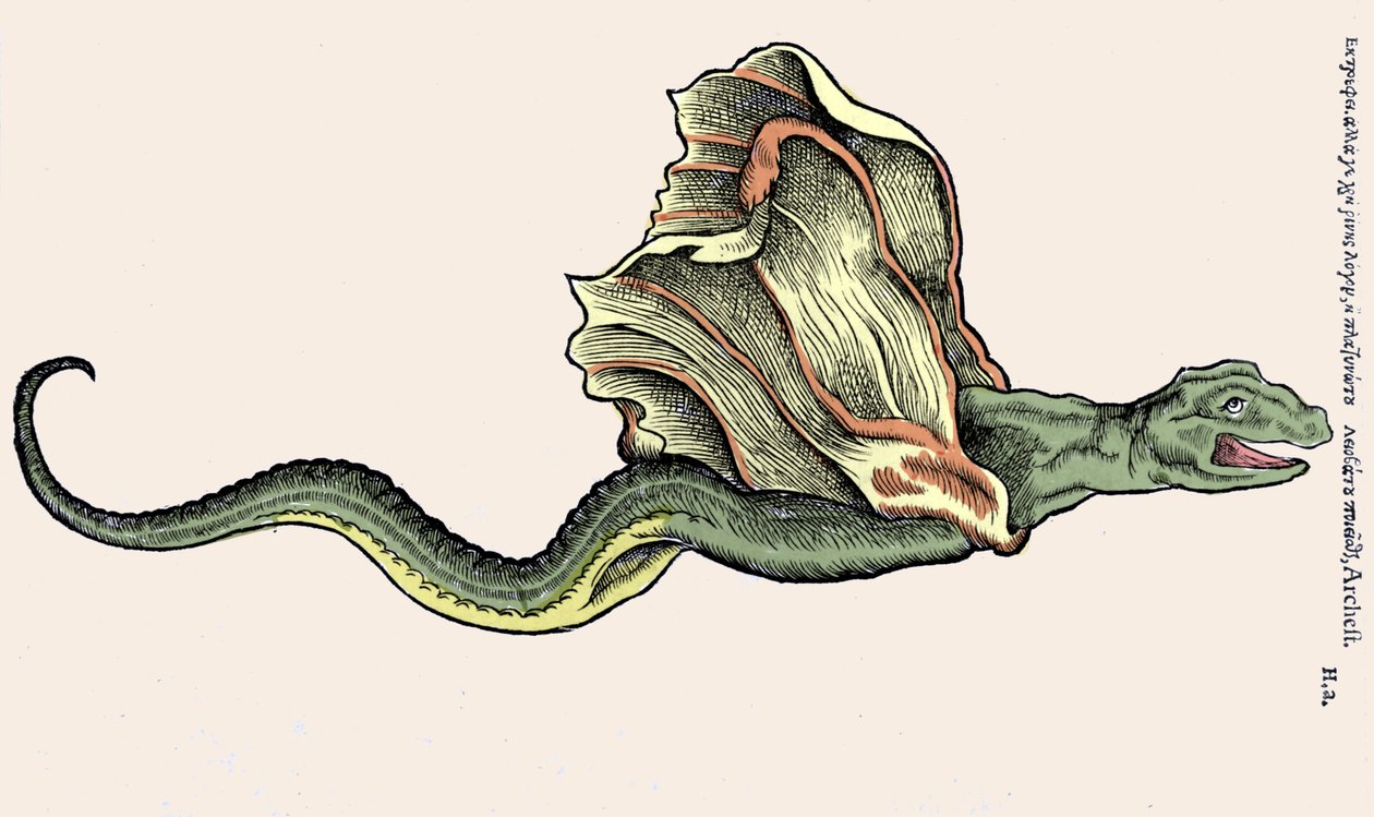 De vliegende draak Amphiptere (gravure in Historia Animalium door Conrad Gesner, Tiguri) door Unknown artist