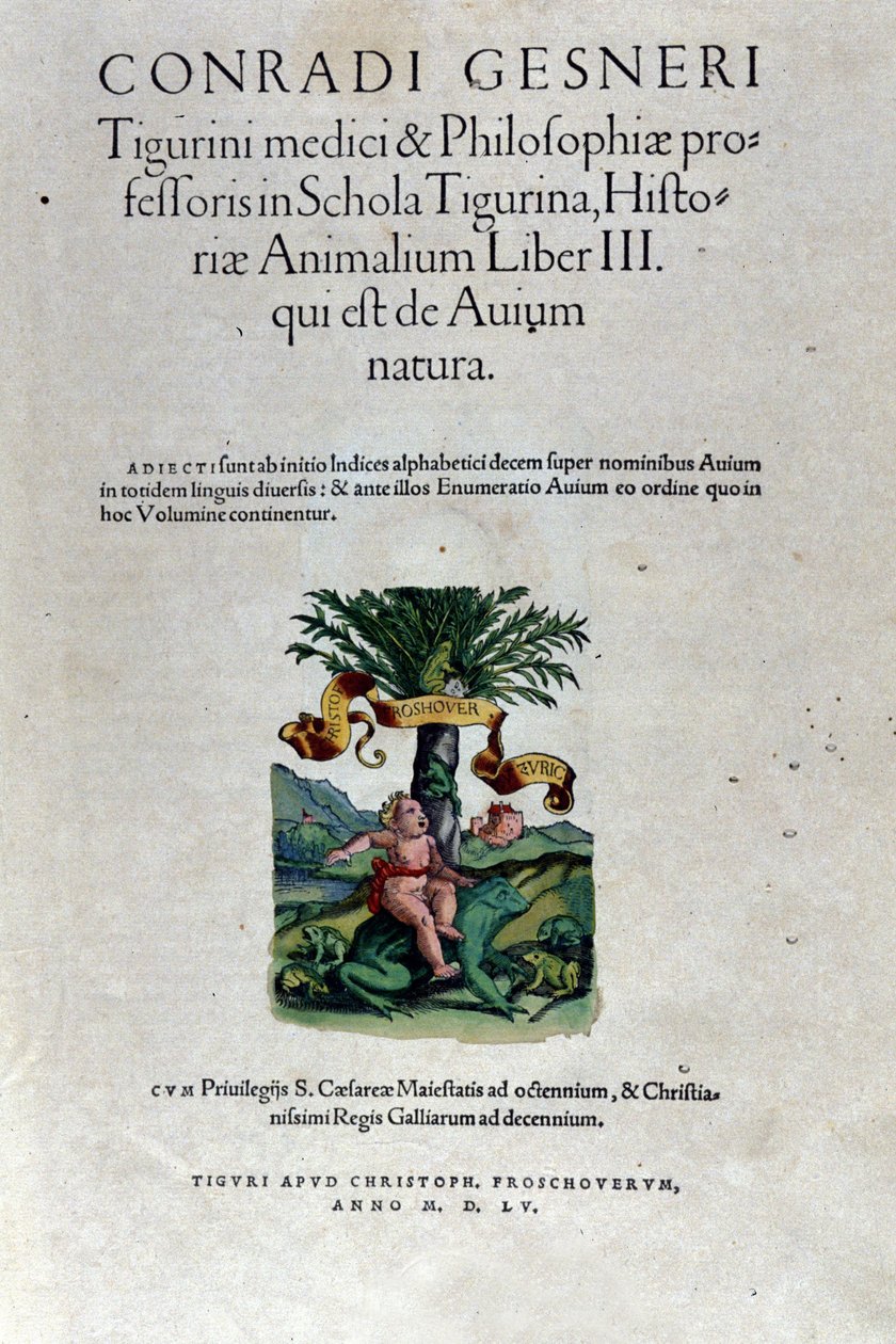 Het frontispice van het derde deel door Historia Animalium door Conrad Gesner (1516 - 1565), Tiguri door Unknown artist