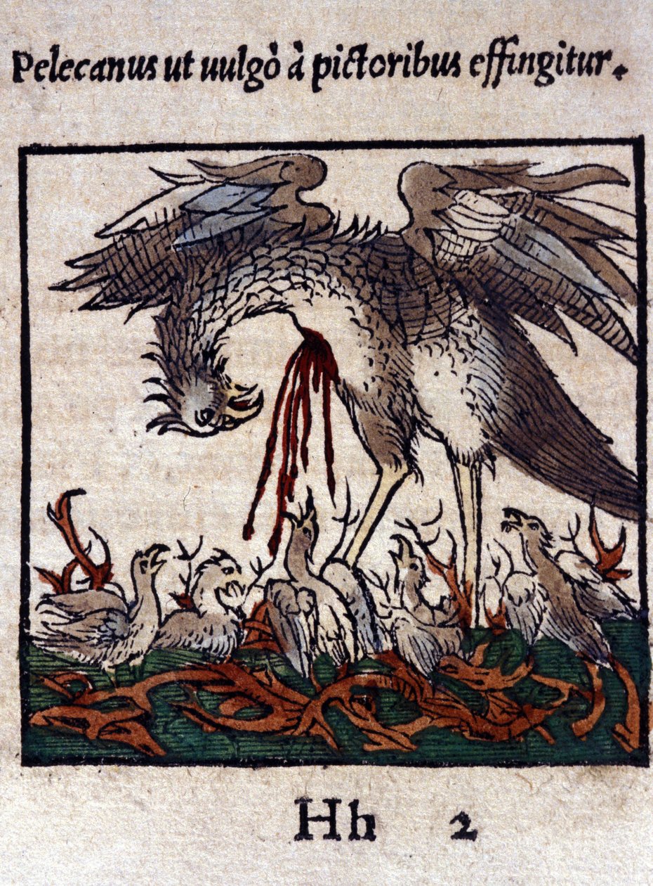 De legende van de pelikaan: hij geeft zijn bloed en ingewanden om zijn jongen te voeden. Uit Historiae animalium door Konrad Gesner, Tiguri door Unknown artist