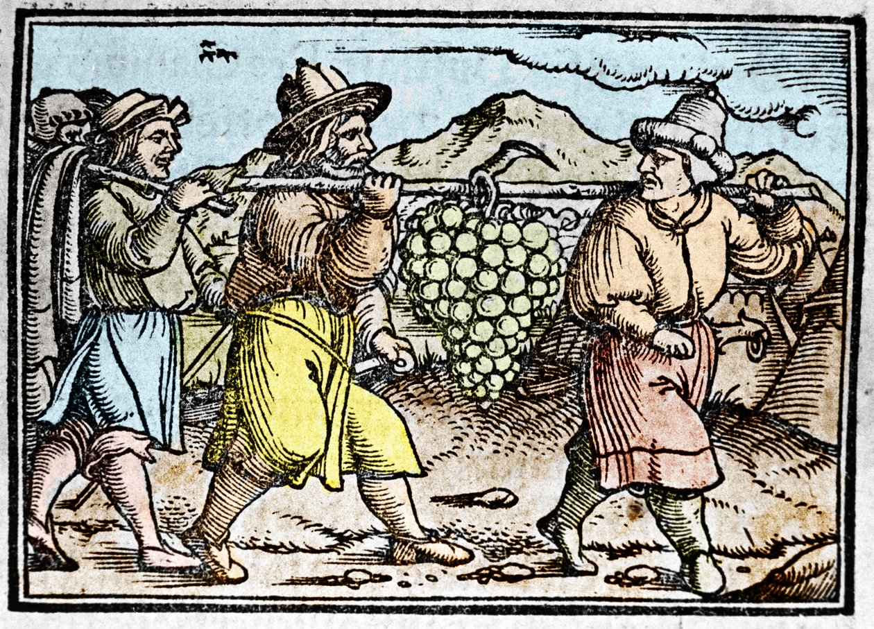 De terugkeer van Jozua en Kaleb met een enorme druiventros uit het land Kanaän (kroniek door Johann Stumpff) door Unknown artist