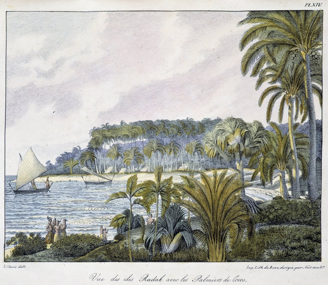 Uitzicht op de Radak-eilanden van de Marshalleilanden archipel door Unknown artist
