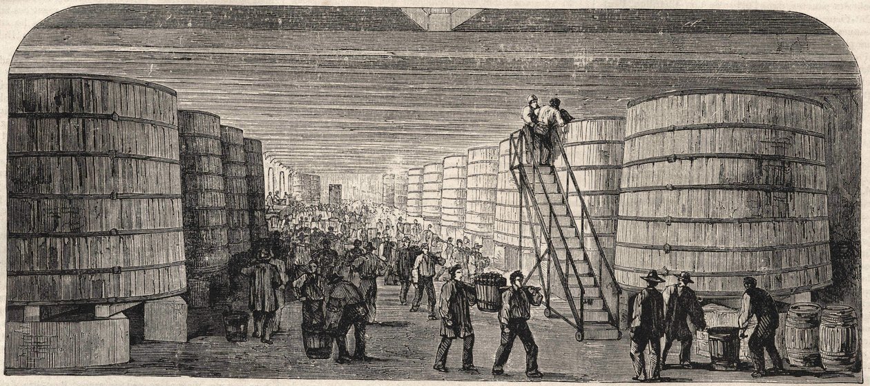 Uitzicht op de kelder van het Chateau - Lafitte in 1860 door Unknown artist