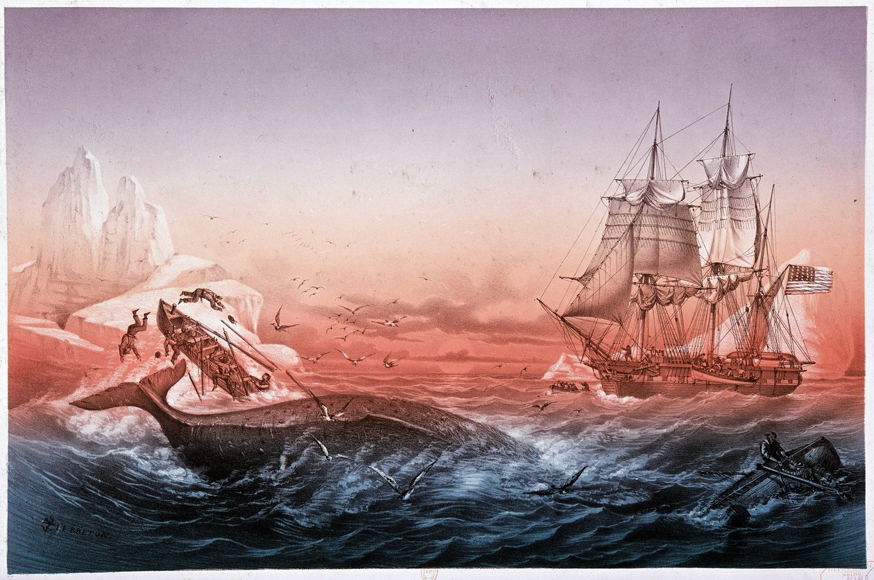 Walvisvaartuig kon zijn omgeslagen boten niet redden door Unknown artist