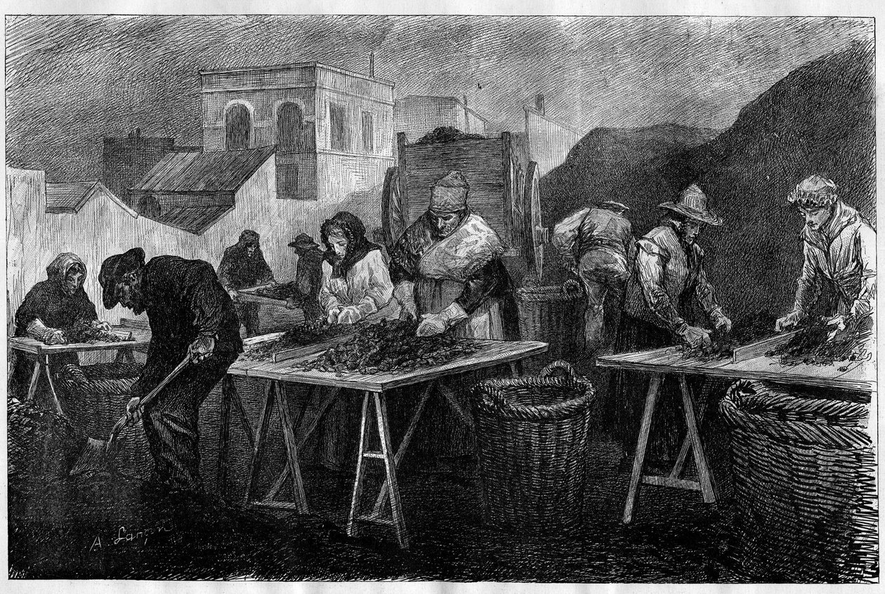 Arbeiders in Frankrijk: Cokesorteerders (variëteit van steenkool afkomstig van de destillatie van steenkool, gebruikt voor verwarming) in een gasfabriek in Parijs. Gravure in 