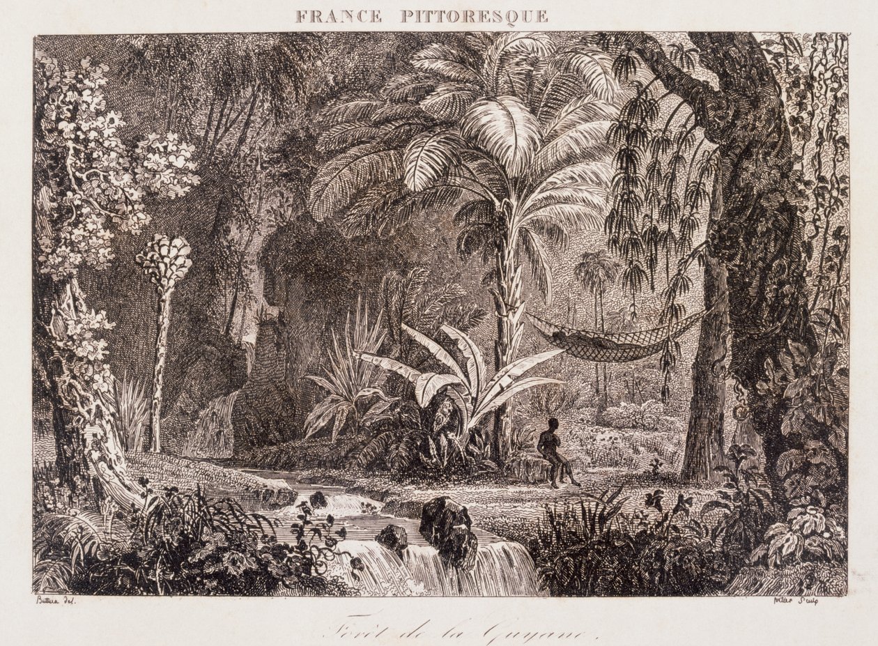 Gravure die de Franse kolonie Guyana in Zuid-Amerika afbeeldt 1850 door Unknown artist