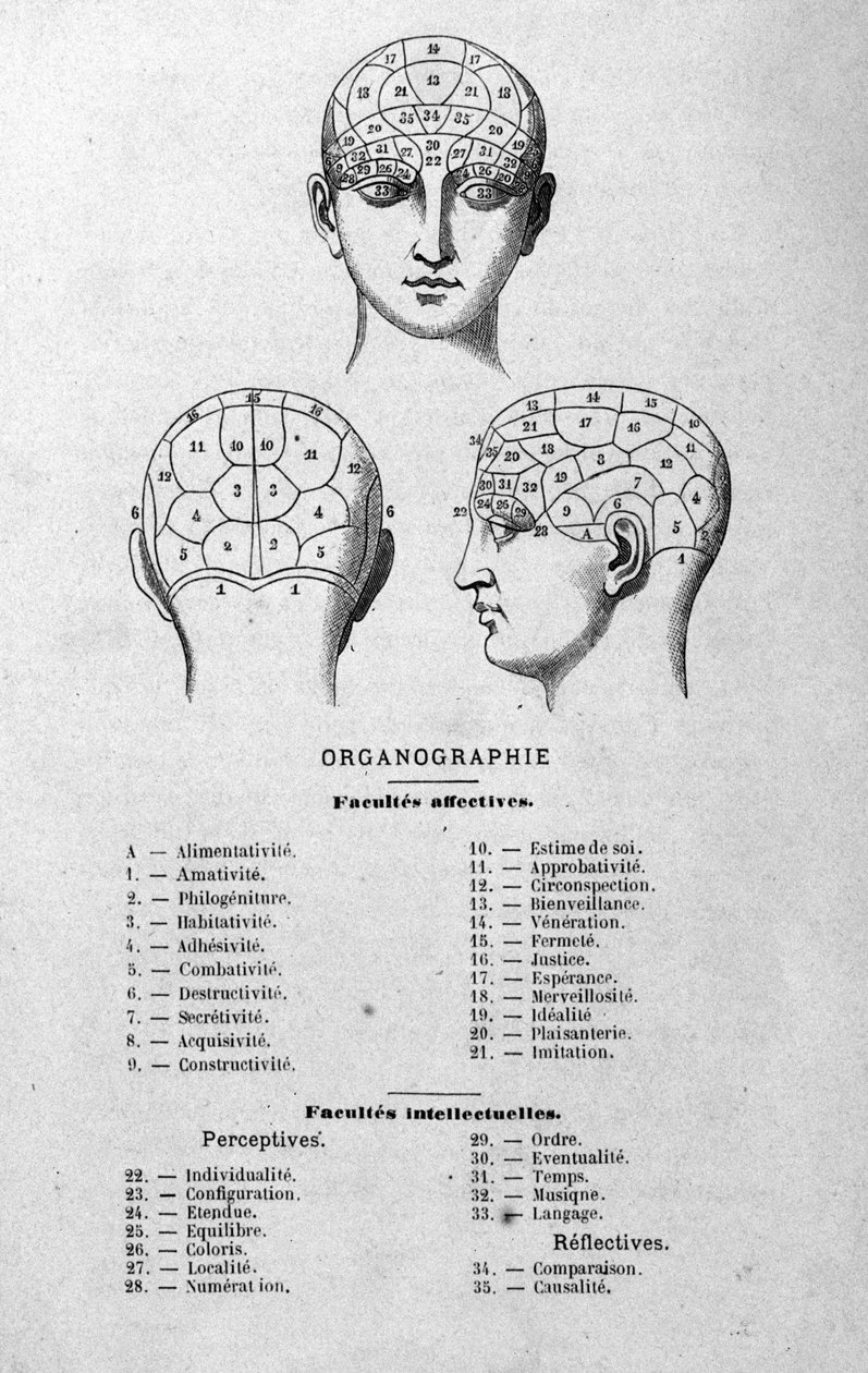 Illustratie uit Charles Rouvins boek van 1873 Organographie La Tête humaine, geïllustreerde studies van frenologie en fysiognomie toegepast op beroemde personages Parijs 1873 door Unknown artist