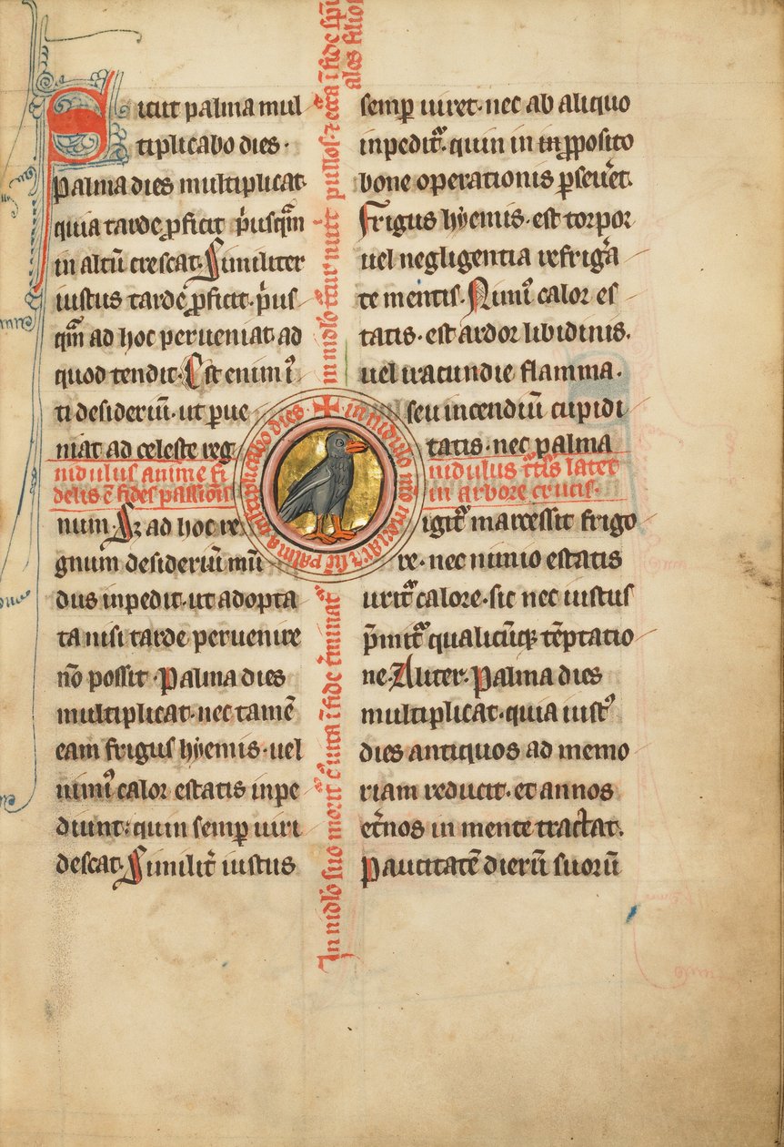 Een medaillon met een tortelduif door Unknown artist