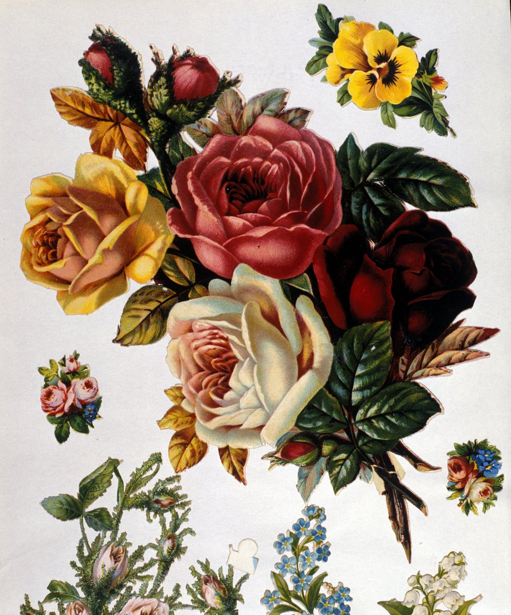 Een boeket rozen. 19e-eeuwse chromolithografie. door Unknown artist