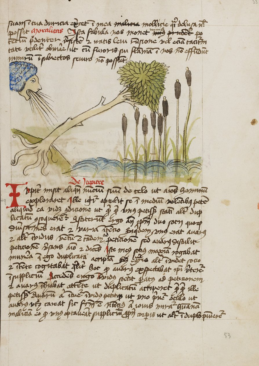 Een eikenboom ontworteld door sterke wind door Unknown artist