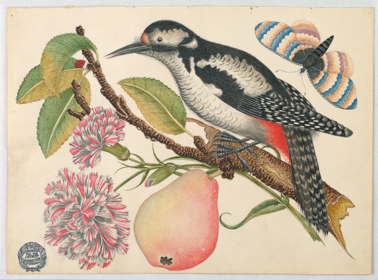 Vogel, vlinder en peer door Unknown artist