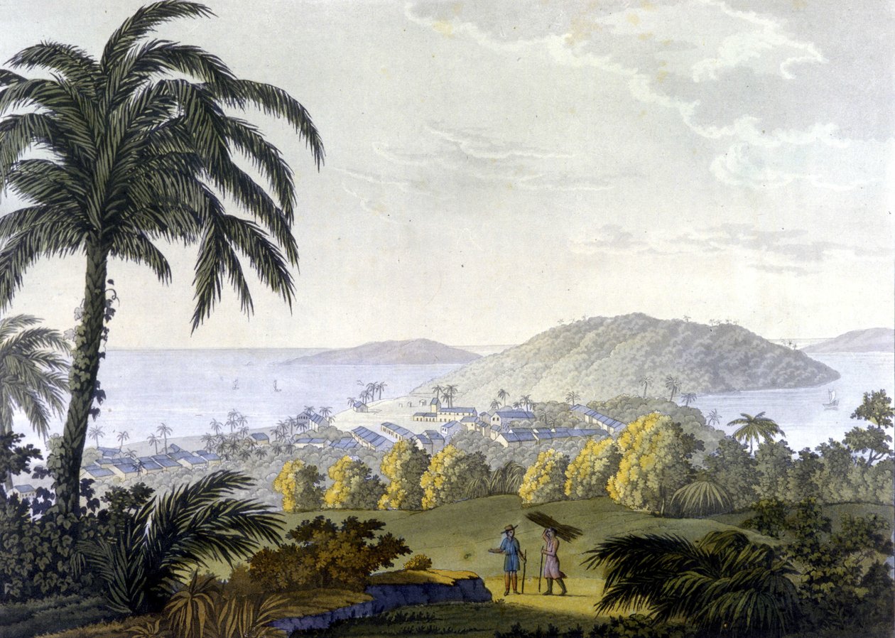 Brazilië, uitzicht op de stad Ilheus in de staat Bahia door Unknown artist