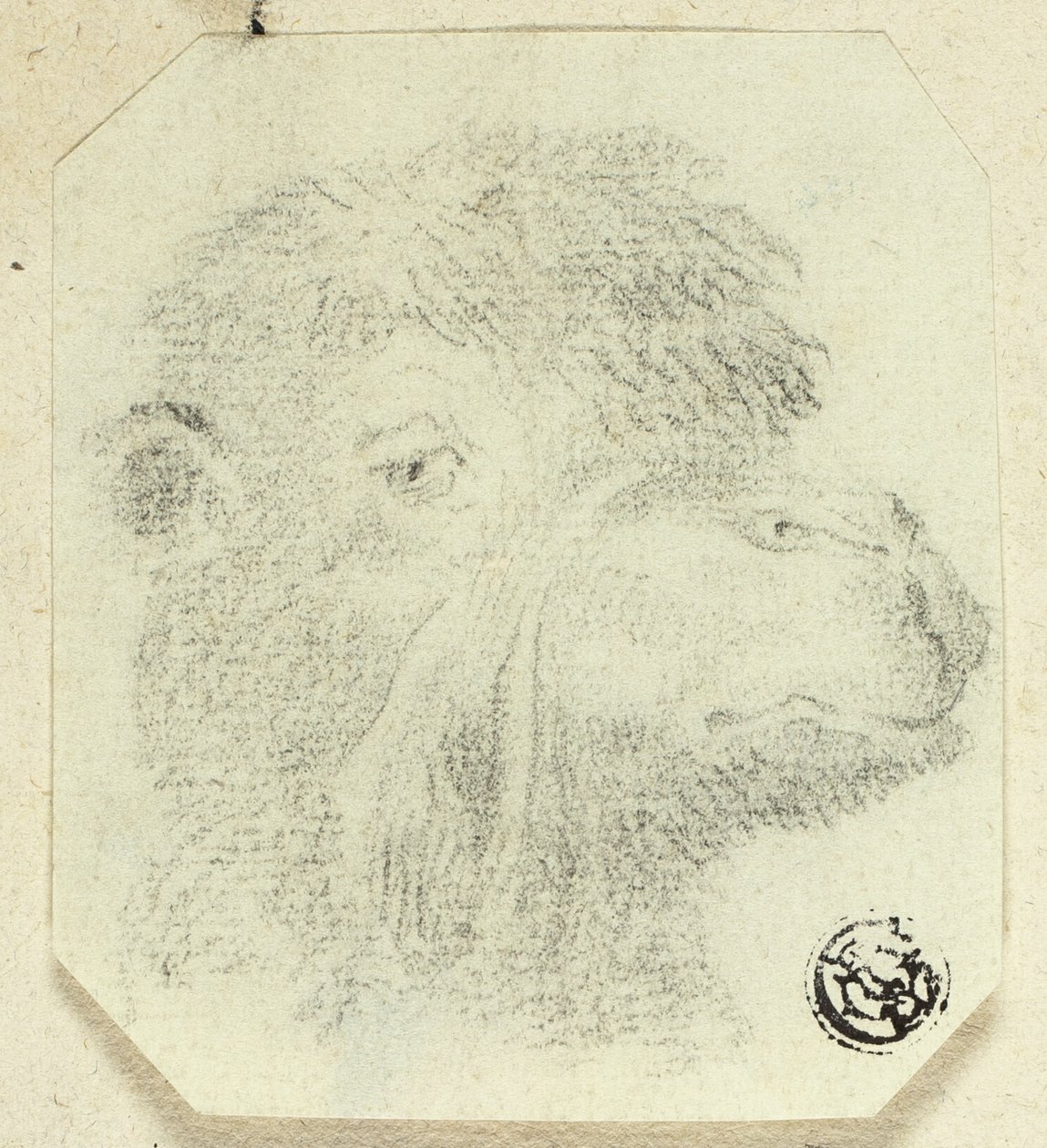Kameelkop naar rechts door Unknown artist