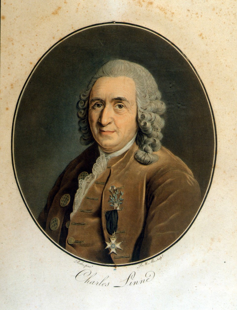 Carl Von Linné Zweedse natuuronderzoeker en schrijver (1707 - 1778) door Unknown artist