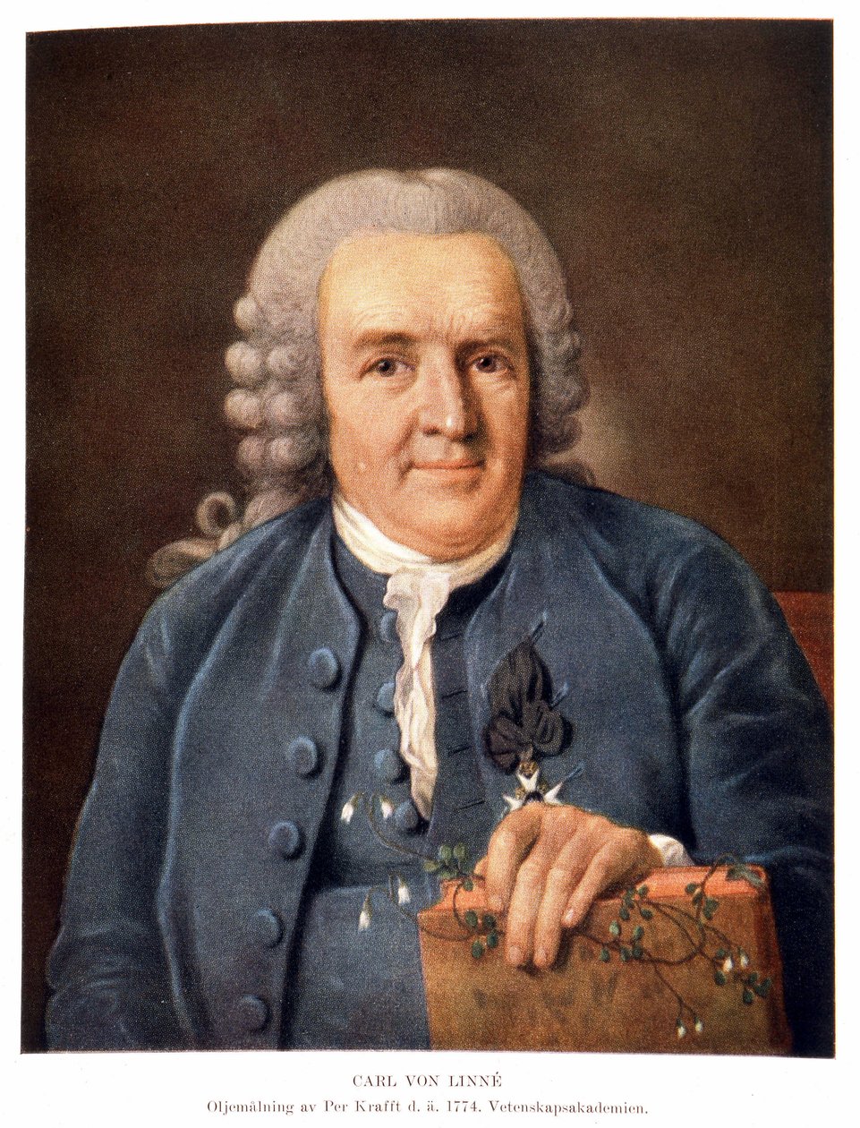Carl Von Linné Zweedse natuuronderzoeker en schrijver door Unknown artist
