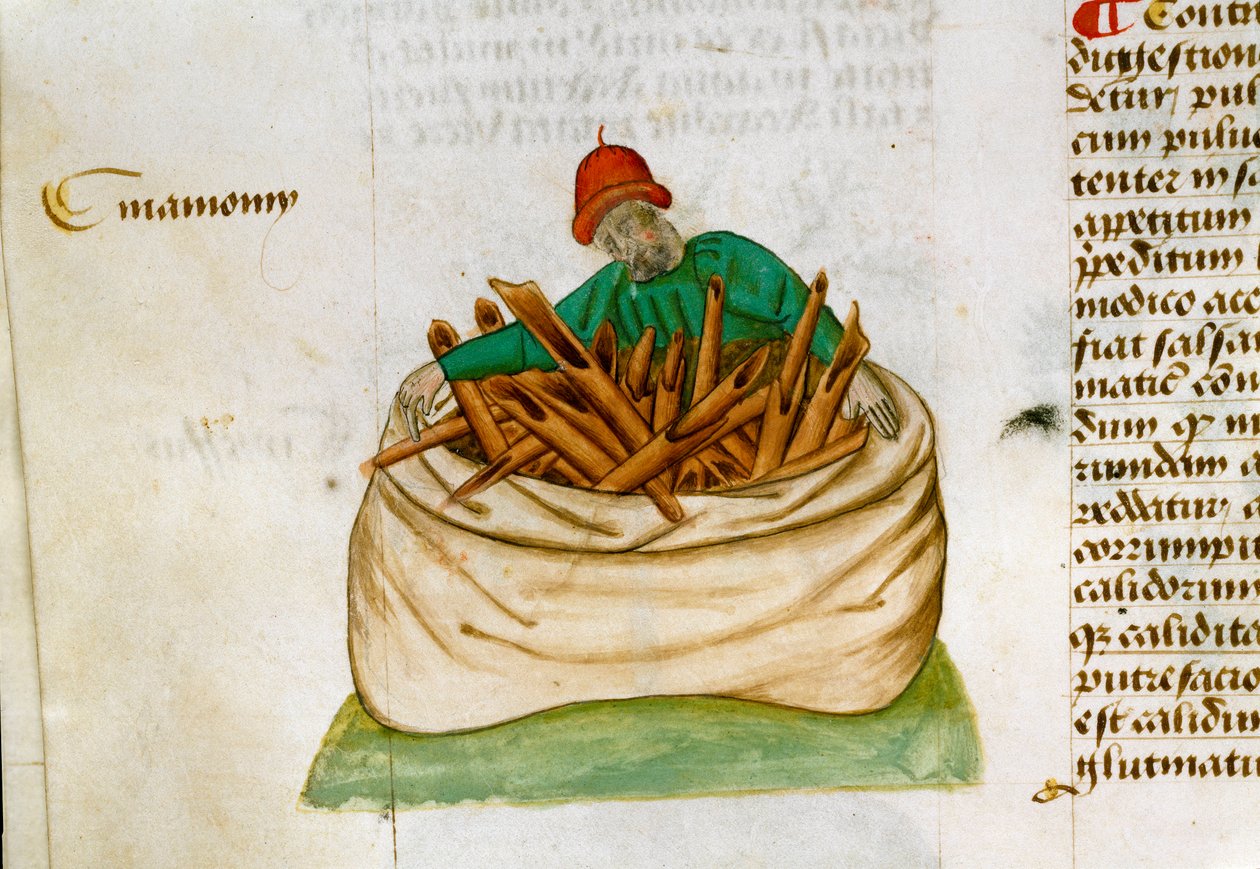 Kaneelverkoper Beschrijving van geneeskrachtige planten en hoe ze te bereiden door Unknown artist
