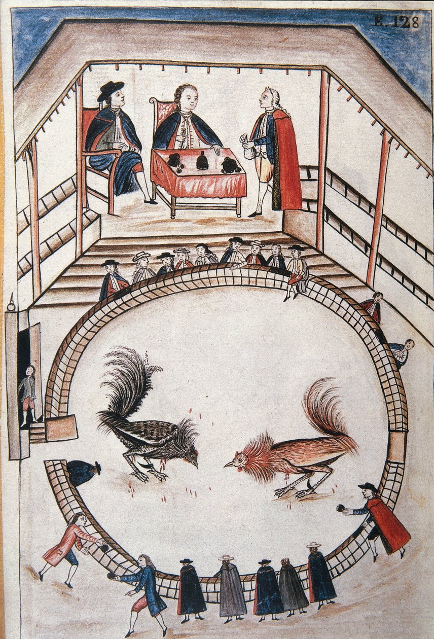 Haanengevecht, een edelman woont het duel bij, uit het boek "Trujillo del Peru" of "Códice Martínez Compañón" door Baltazar Martinez Compañón y Bujanda, bisschop van Trujillo (1782-1785) door Unknown artist