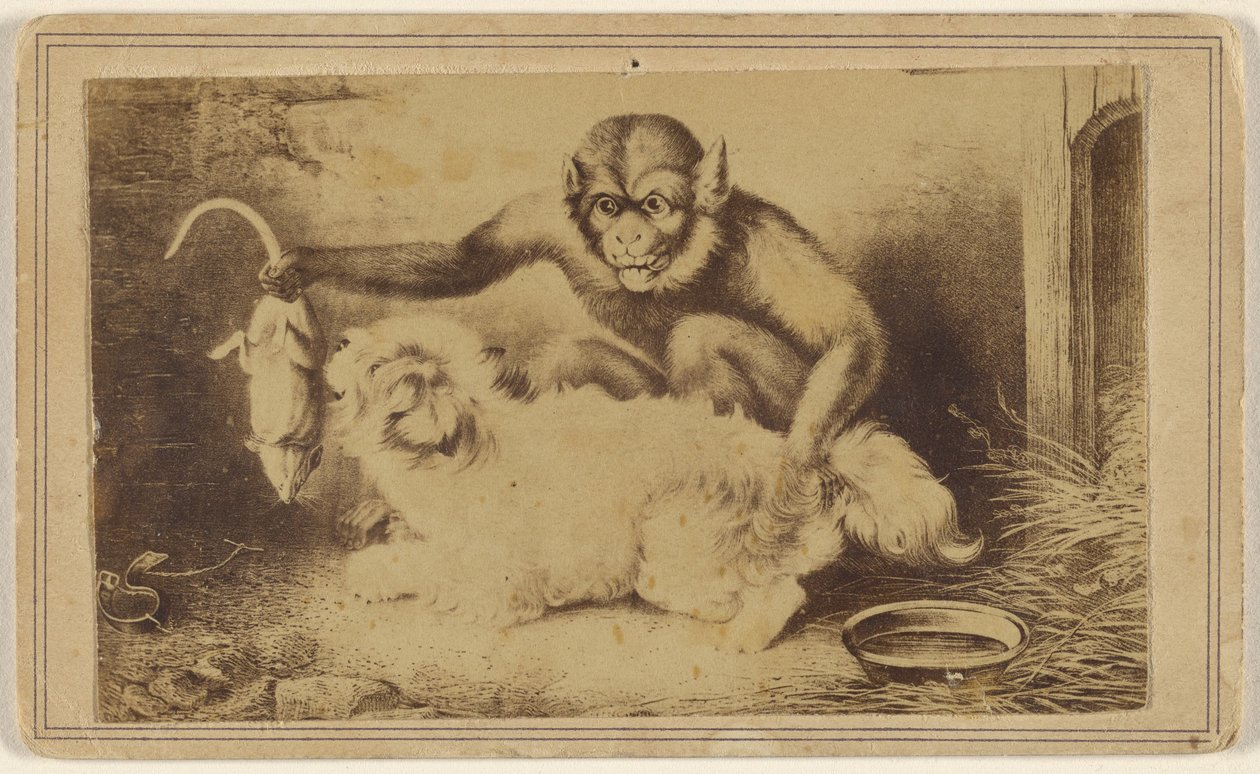 [Kopie van een schilderij met een aap die een rat bij zijn staart vasthoudt voor een kleine witte hond]. door Unknown artist