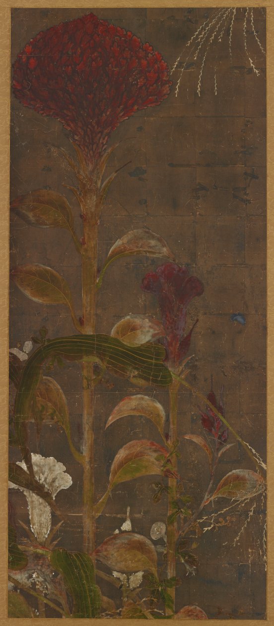 Hanekammen, maïs en ochtendglorieën door Unknown artist