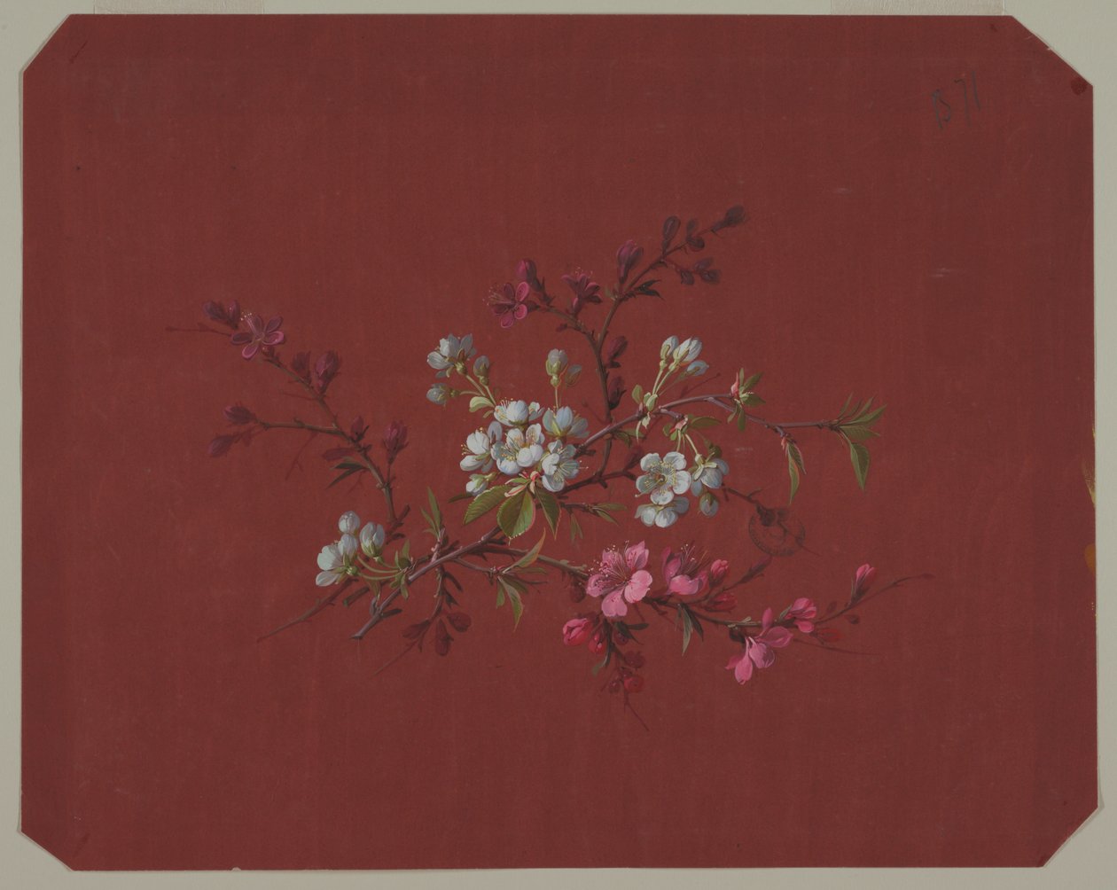 Ontwerp voor behang en textiel: bloemen door Unknown artist