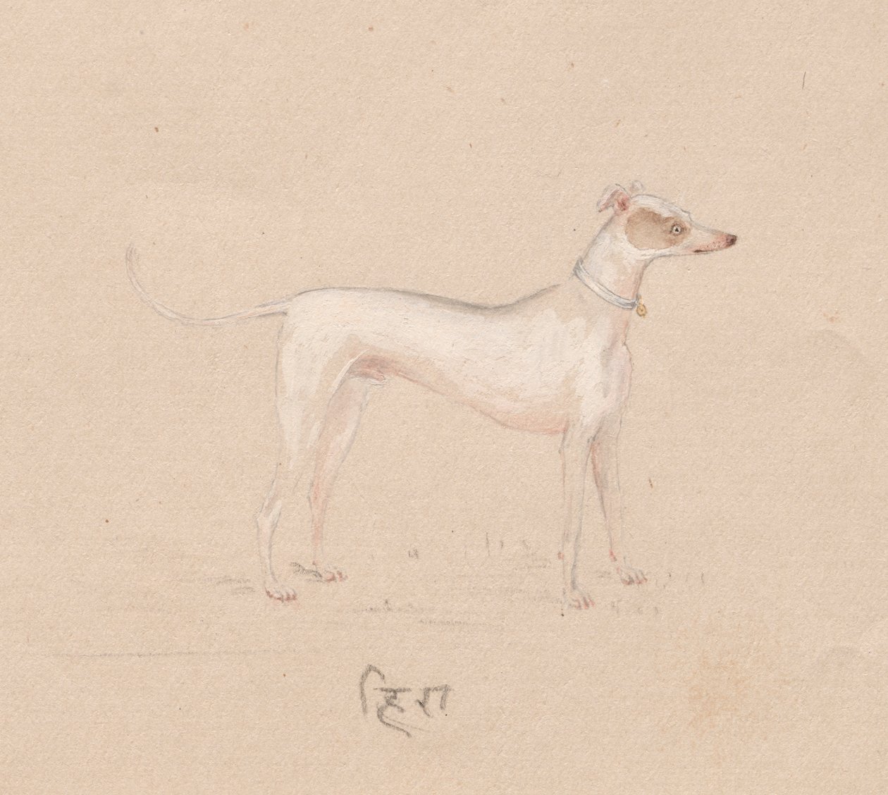 Hond door Unknown artist
