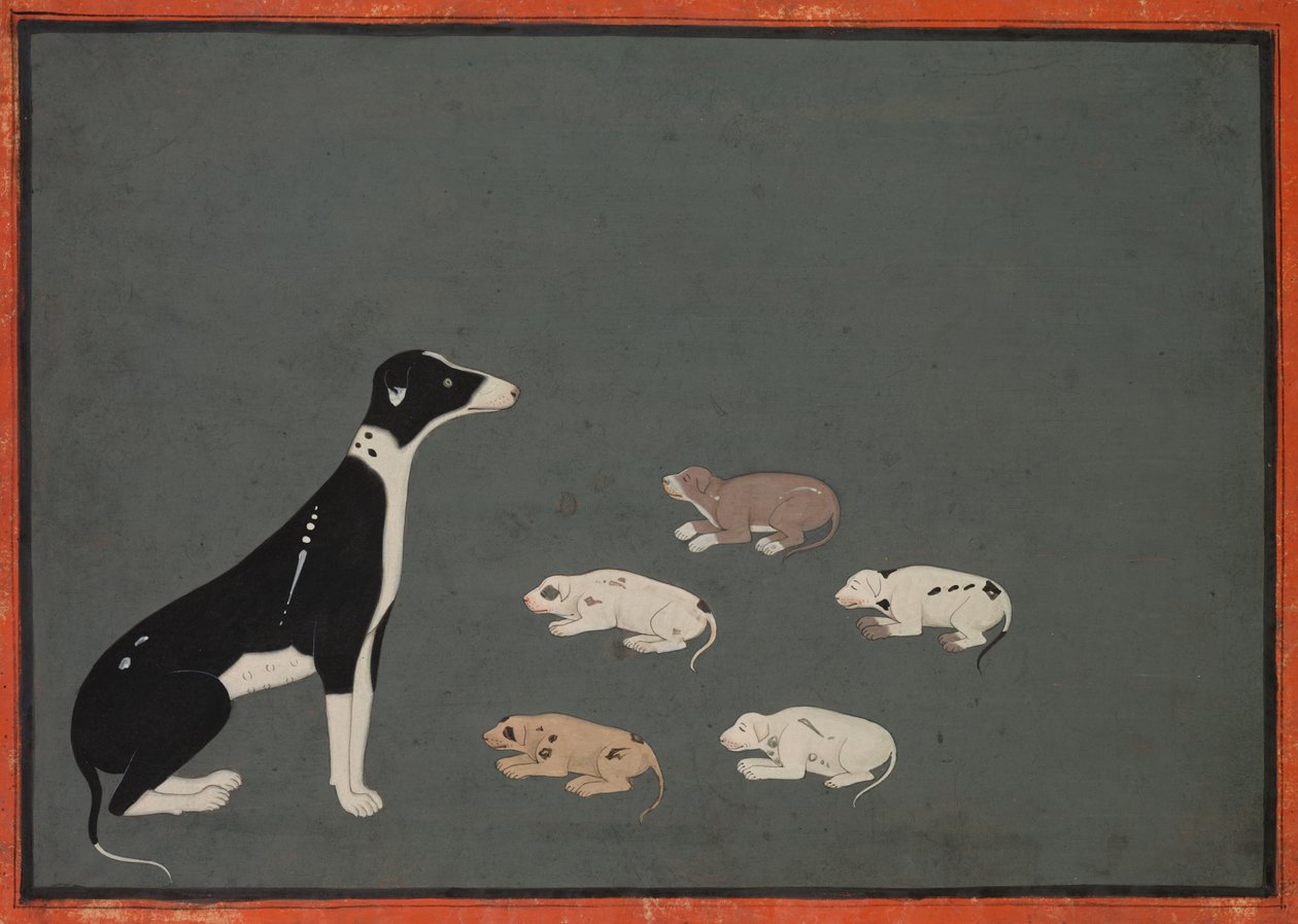 Hond met Pups door Unknown artist