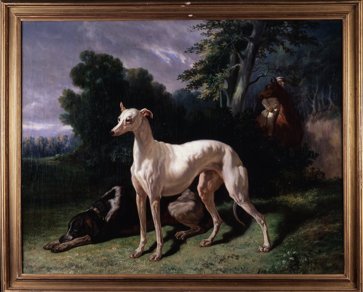 Honden (Levary) door Unknown artist