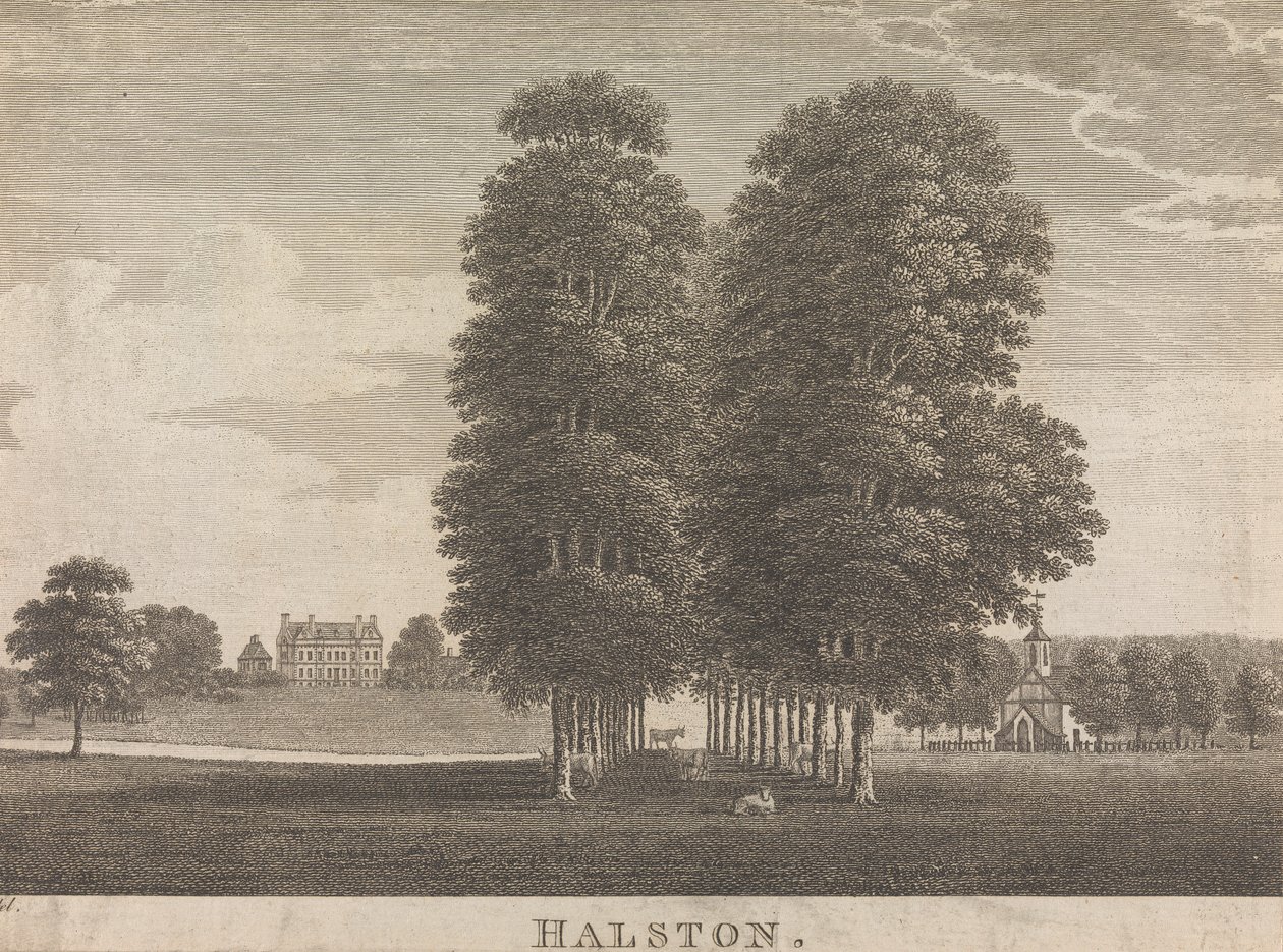 Halston; pagina 22 (Volume Twee) door Unknown artist