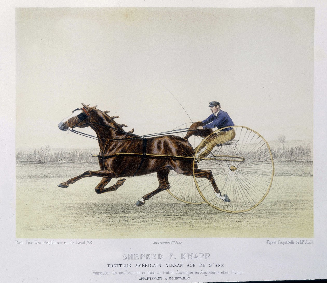 Paardrijden: Shepherd F. Knapp, draver - in "de centaur" door Unknown artist