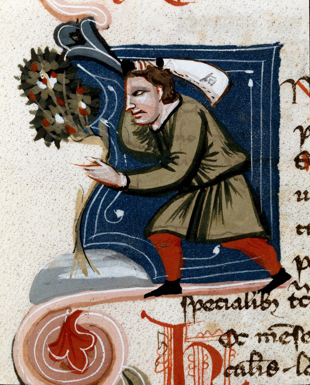 Tuinbouw: een boom verpotten. Detail. Manuscriptpagina (MS.s.vi) "Agrarisch Verdrag" (Trattato di agraria) door Pietro de Crescenzi (1233-1320) 14e eeuw Cesena, Biblioteca Malatestiana door Unknown artist