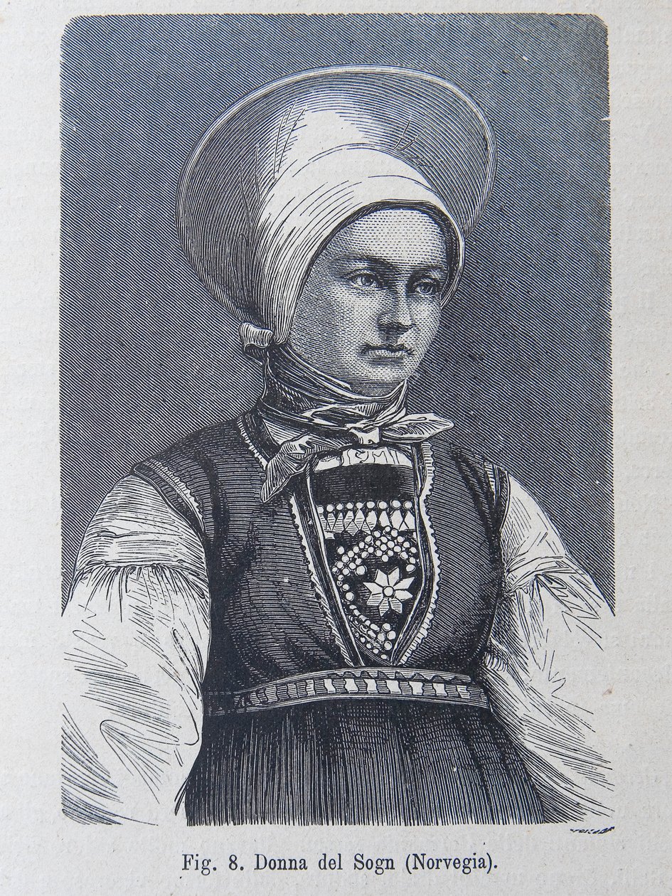 Illustratie uit "Het menselijk ras" door Louis Figuier door Unknown artist
