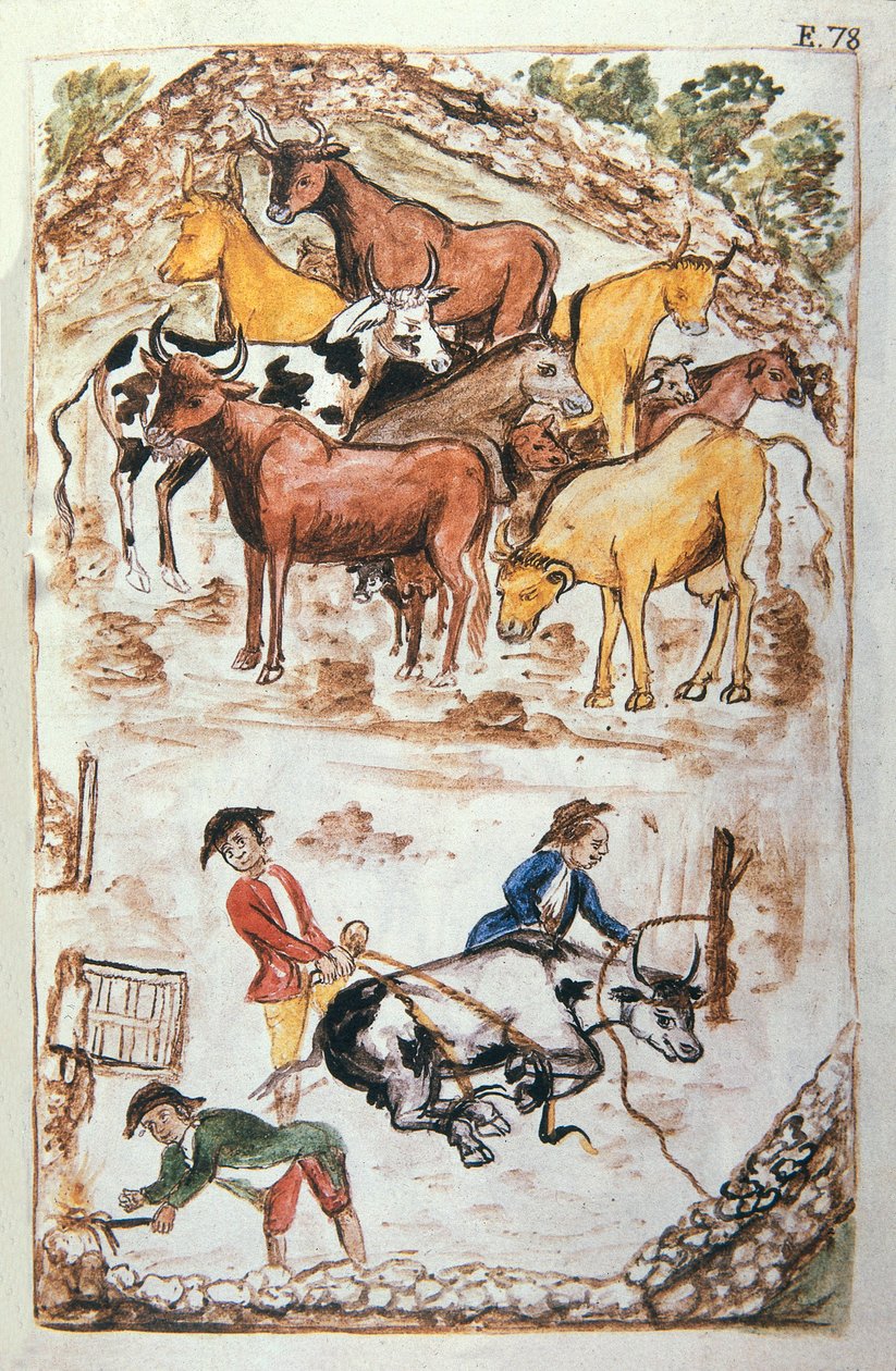 Indiase bewakers van koeien, uit het boek "Trujillo del Peru" of "Códice Martínez Compañón", door Baltazar Martinez Compañón y Bujanda, bisschop van Trujillo (1782-1785) door Unknown artist