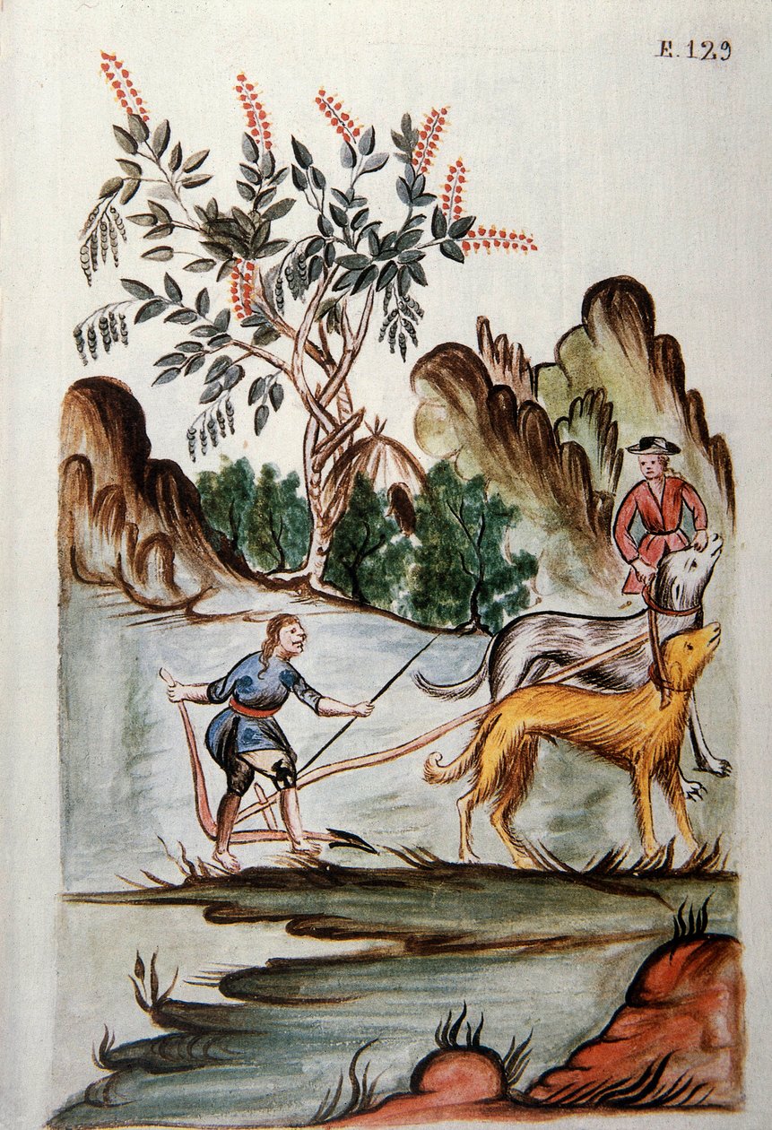 Indianen ploegen een veld met honden, uit het boek "Trujillo del Peru" of "Códice Martínez Compañón", door Baltazar Martinez Compañón y Bujanda, bisschop van Trujillo (1782-1785) door Unknown artist
