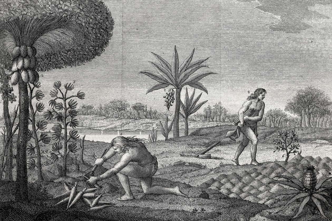 Inheemsen bewerken het land in het Orenoque-bekken van Colombia. Gravure 1780 door Unknown artist