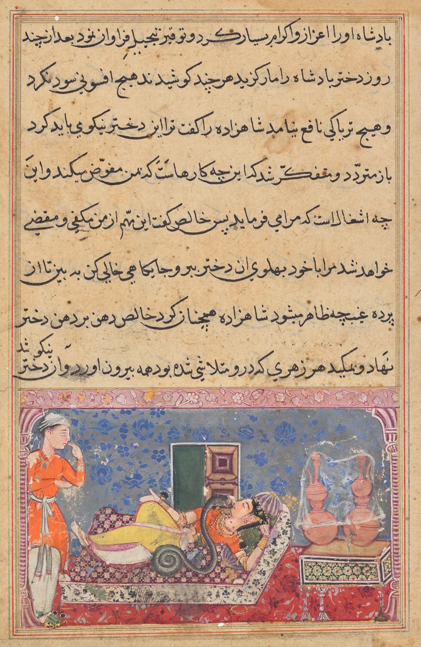 Khalis betaalt de prins terug voor zijn vriendelijkheid door in een slang te veranderen en het gif uit de dochter van de koning te zuigen, uit een Tuti-nama (Verhalen van een Papegaai): Achttiende Nacht door Unknown artist