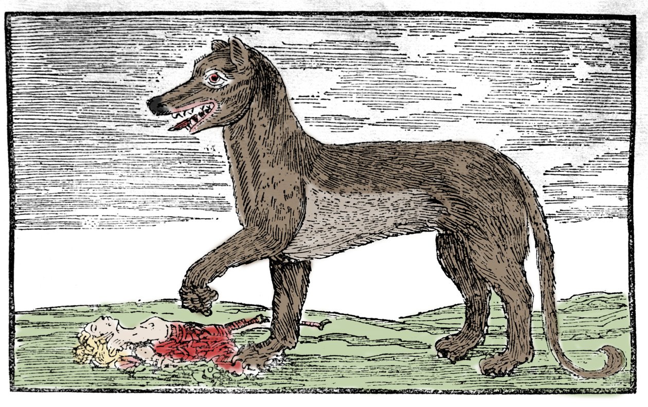 La bete du Gevaudan Gravure uit 