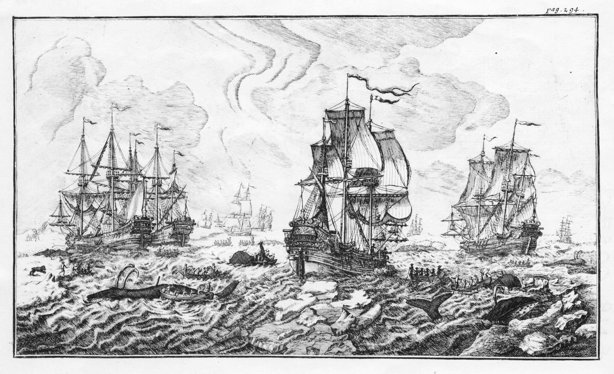 De walvisjacht - gravure in 
