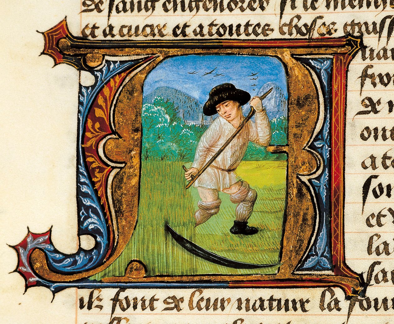 Geneeskunde: een boer die het graan maait. Miniatuur uit het Verhandeling over Geneeskunde door Aldebrande de Florence (Aldebrando) door Unknown artist