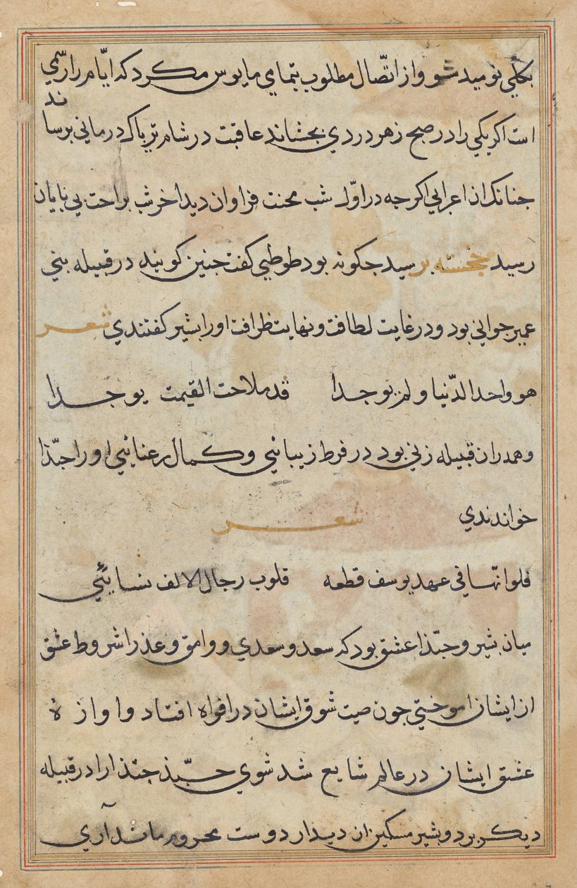 Pagina uit Verhalen van een Papegaai (Tuti-nama): tekstpagina door Unknown artist