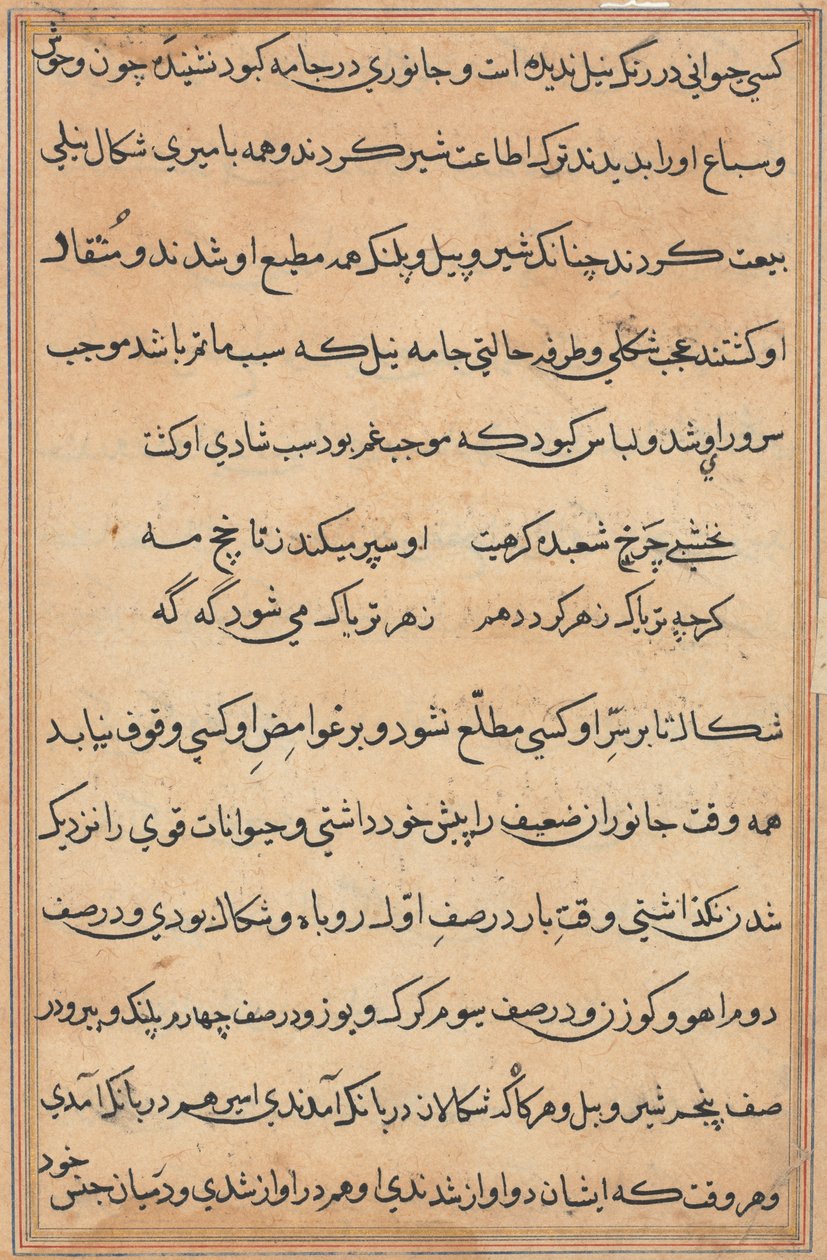 Pagina uit Verhalen van een Papegaai (Tuti-nama): tekstpagina door Unknown artist
